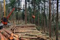 Holztransport