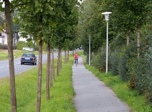 Wilhelm-Wunderlich-Weg 