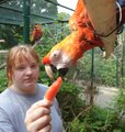 Tierpark 