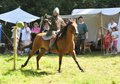 Rittergutsfest 