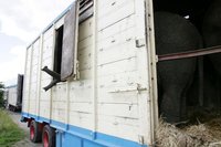 Tiertransport mit Exoten