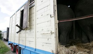 Tiertransport mit Exoten