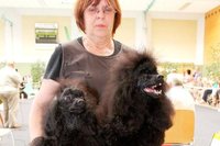 Gek�mmt f�r das gro�e Schaulaufen: Angelika Rudolph aus Uhlst�dt-Kirchhasel mit Kleopatra (links) und Kandis. 