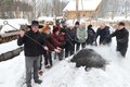 Rachelk�hlerei