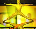  Golden Power