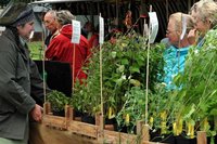 Kr�uterfrau Dorit Steidten (links) aus Lobsdorf beriet die Besucher zu Heil- und Gew�rzpflanzen.  