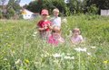 Blumenpracht im Vorjahr