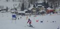 Telemark