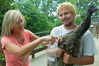 Emu-K�ken