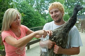Emu-K�ken