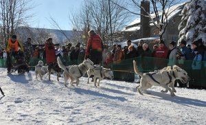 Sch�necker Schlittenhunderennen 2011