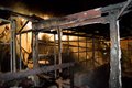 Zwei Gew�chsh�user in der N�he des Erzgebirgsklinikums stand am Dienstag in Annaberg-Buchholz in Flammen. 