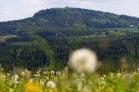 Der Scheibenberg wurde als ein Objekt der Montanregion Erzgebirge ausgew�hlt, f�r die die Aufnahme in das Unesco-Welterbe beantragt werden soll. Einer Umsetzungsstudie hat der Stadtrat nun mehrheitlich zugestimmt. Dass der Berg dabei ist, liegt vor allem an einem ber�hmten Streit. 