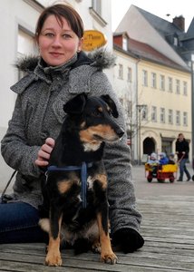 Hund