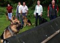 Sch�ferhund 