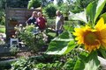 Gartenanlage