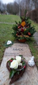 
Die Grabstelle am Mittwoch. Am 4. M�rz vergangenen Jahres wurde Max auf dem Zentralfriedhof in Schwarzenberg bestattet. 
