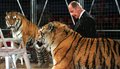 Zirkus