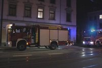 Die Berufsfeuerwehr Zwickau konnte das Feuer schnell l�schen.