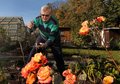 Kleing�rtner bei der Arbeit