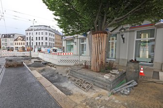 Georgenplatz in Zwickau: Naturschutz und Verkehr vereint – Umbau schont große Bäume - Der große Baum am Georgenplatz bekommt derzeit ein saniertes Hochbeet.