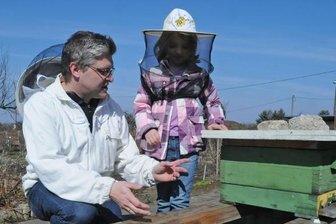 Leerer Bienenstock