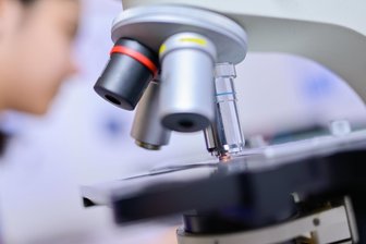 Prozess um getötete Frau in Chemnitz: Was Insekten den Ermittlern verraten haben - Beim Aufklären von Verbrechen kommt es mitunter auf kleinste Spuren an. Im Falle einer getöteten Frau aus Chemnitz halfen am Tatort gefundene Fliegen dabei, den Todeszeitpunkt einzugrenzen.