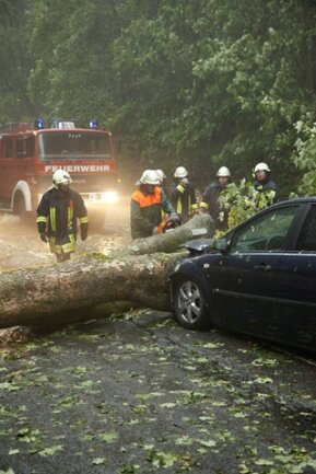 <p>
	Auf der Bundesstraße 101 zwischen Annaberg und Thermalbad Wiesenbad fuhr ein Auto frontal in einen Baum, der auf die Straße gefallen war.</p>
