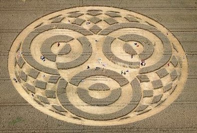 <p>
	Viele Schauliste besuchen seit etwa einer Woche den gigantischen Kornkreis.</p>
