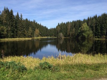 <p>
	Blick auf einen See im Waldpark im vogtländischen Grünheide</p>
