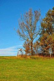 <p>
	Goldener Herbst in Lichtenberg</p>
