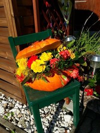 <p>
	Stillleben mit Kürbis und Blumen in einem Garten in Hohenstein-Ernstthal</p>
