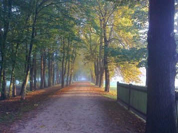<p>
	Weg im Grünfelder Park</p>
