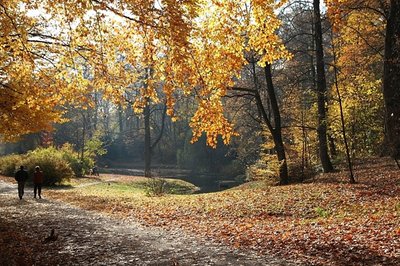<p>
	Verklungene Tage - aufgenommen im Chemnitzer Stadtpark</p>
