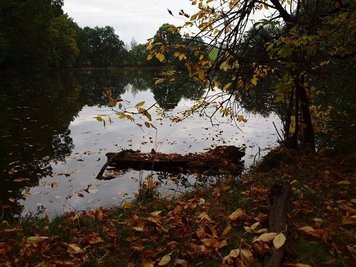 <p>
	Der Schwemmteich am Wasserschloss Klaffenbach bei Chemnitz</p>
