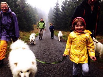 <p>
	Herbstwanderung auf dem Kammweg in Altenberg</p>
