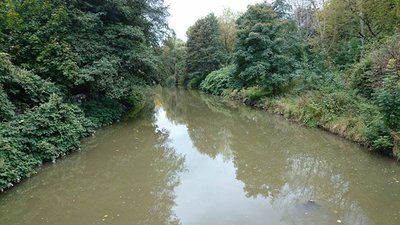 <p>
	Blick von der Brücke am Chemnitzer Falkeplatz</p>
