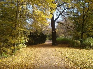 <p>
	Im Werdauer Wald.</p>
