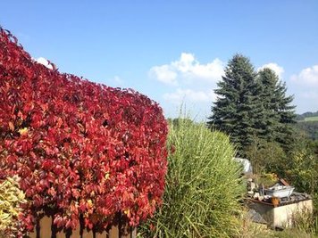 <p>
	Herbst im Garten</p>
