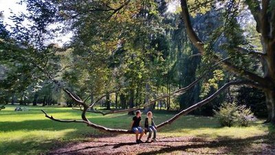 <p>
	Schaukeln im Großen Garten in Dresden.</p>
