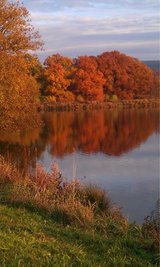 <p>
	Roter Herbst - aufgenommen nahe Zwönitz</p>
