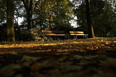 <p>
	Ruhe am Schlossteich in Chemnitz</p>
