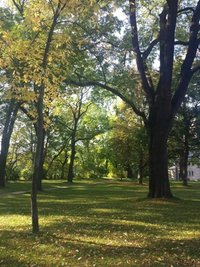 <p>
	Im Chemnitzer Park Opfer des Faschismus mit Blick auf die Jugendkirche</p>
