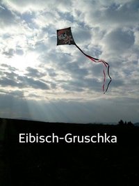 <p>
	Ein Drachen über Lößnitz</p>
