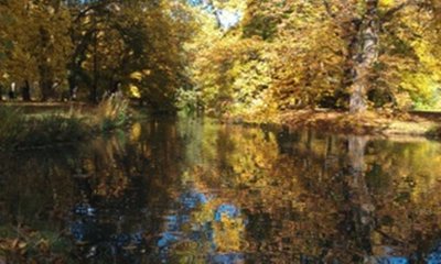 <p>
	Schlossteich in Chemnitz</p>
