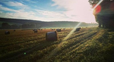 <p>
	Früh morgens in Sehma</p>
