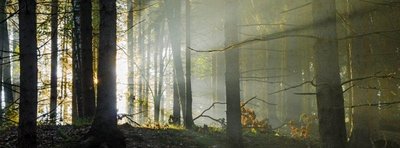 <p>
	Lichtstimmung an der Talsperre Pöhl</p>
