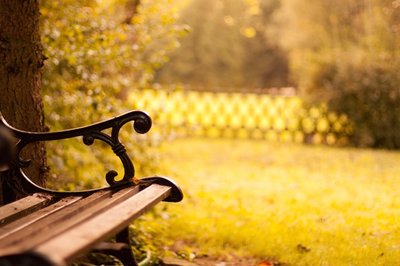 <p>
	Entspannung im Garten in Krumbach bei Ottendorf</p>
