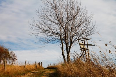 <p>
	Herbst in Börnichen</p>
