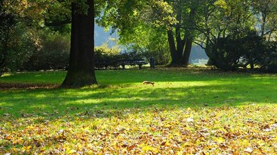 <p>
	Großer Garten in Dresden</p>
